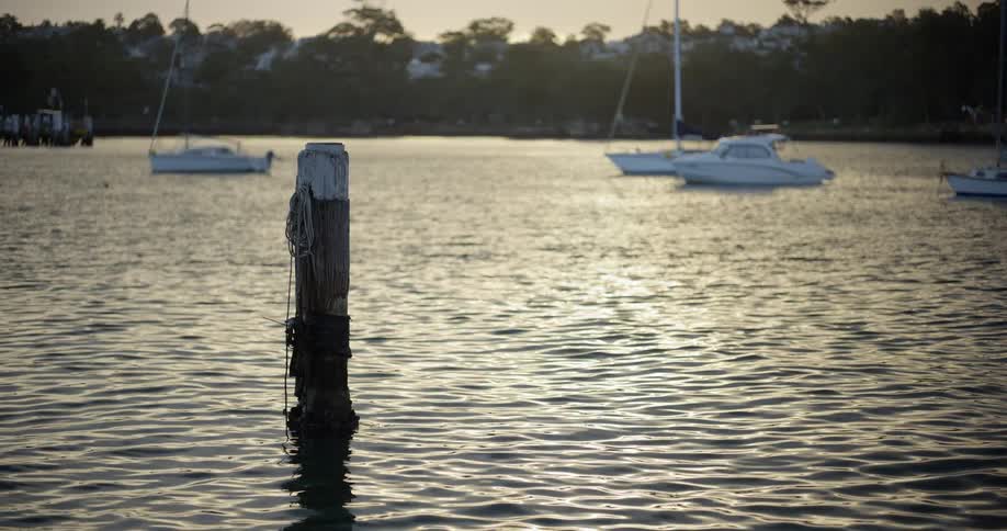 A single wooden pylon stands in a calm harbor with moored boats during a beautiful golden sunset