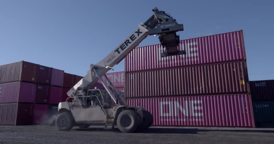 A Terex container handler idles with its boom extended next to stacked magenta shipping containers in a freight yard