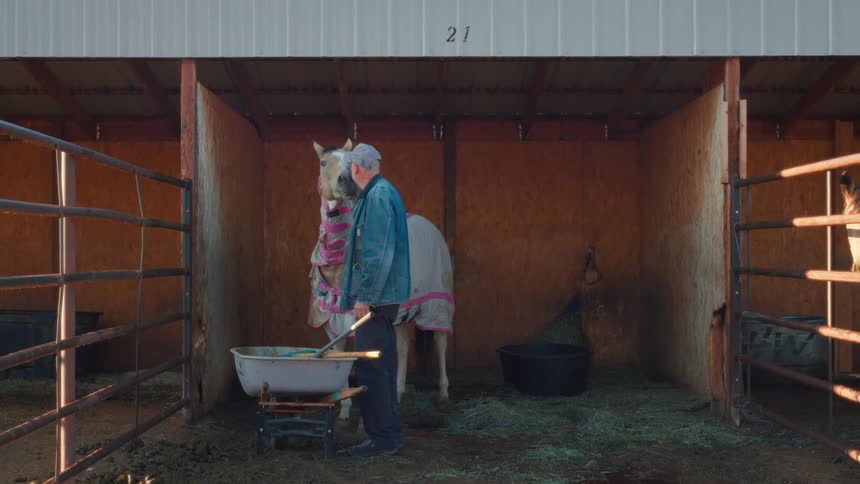 An elderly man affectionately pets his white horse in a hay-filled stable