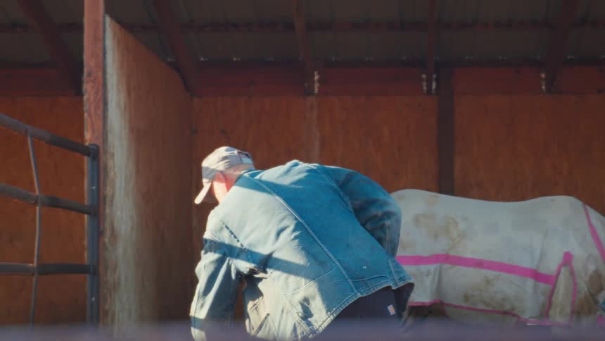 A man cleans up horse manure with a rake in a stable as the camera tilts up in slow motion