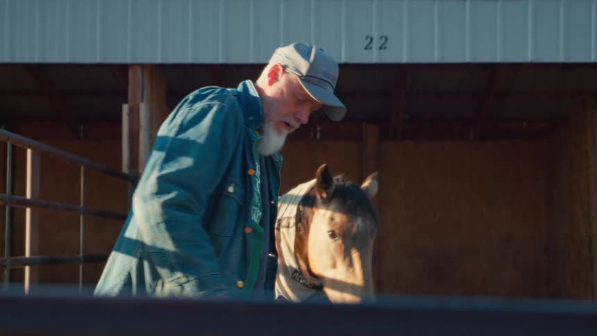 An elderly farmer with a white beard leads his horse into a stall at a stable during golden hour