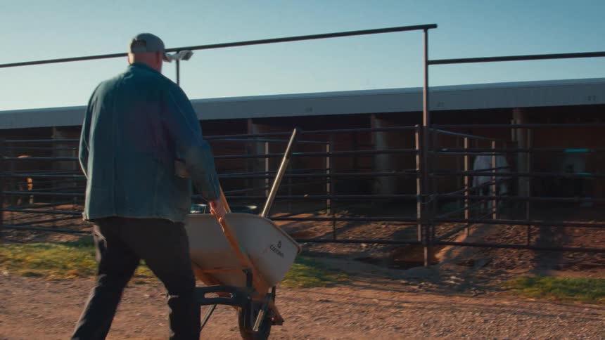 A rancher pushes a wheelbarrow towards the horse stables in slow motion, backlit by the bright morning sun as he begins his daily chores