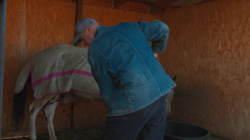 A friendly senior farmer with a long white beard smiles while cleaning a horse stall with a rake