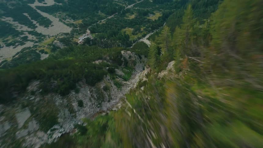 A thrilling FPV drone dives down the side of a steep mountain slope covered in a dense pine forest