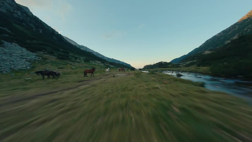 An FPV drone flies low and fast along a clear mountain river, passing a herd of wild horses grazing peacefully in a lush green valley at sunrise
