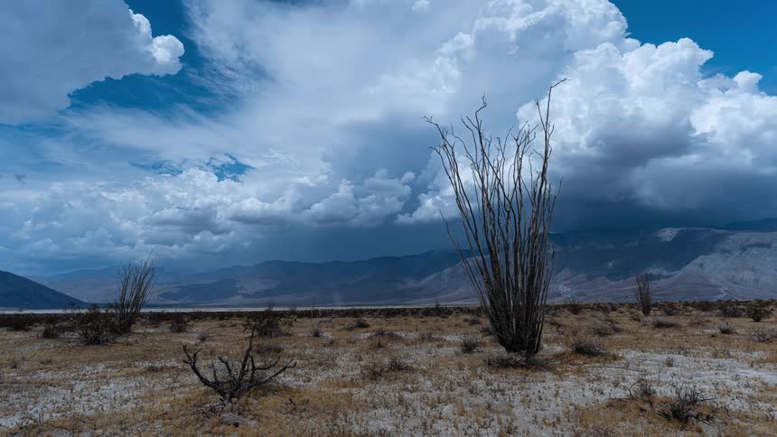 A powerful storm system develops in a dramatic timelapse over the vast desert landscape, with Ocotillo plants in the foreground