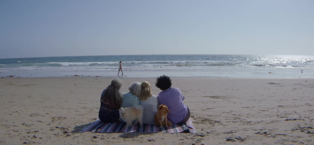 Old Friends Get Together for a Weekend on the Beach