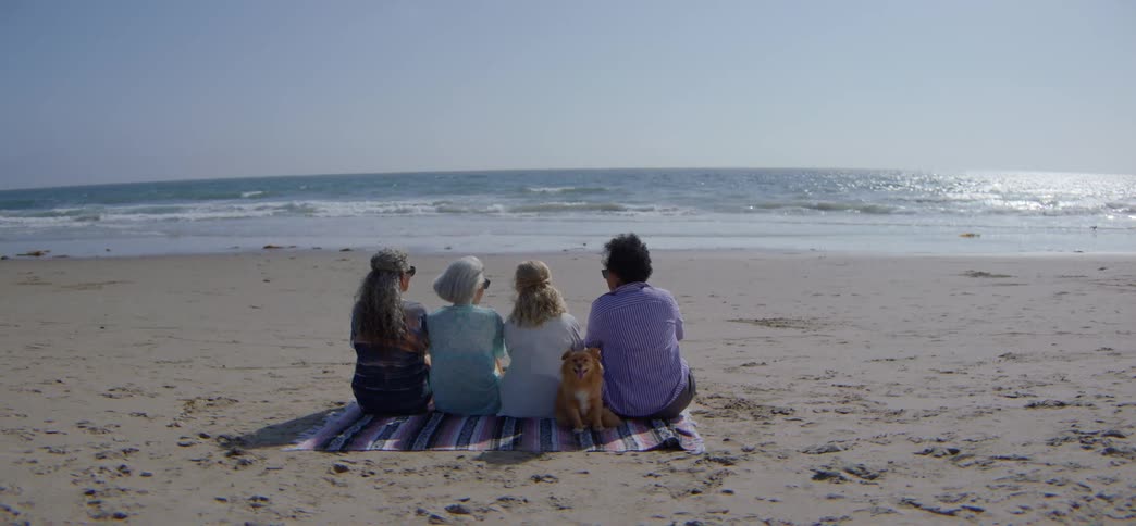 Old Friends Get Together for a Weekend on the Beach