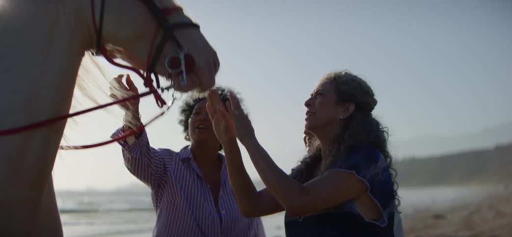 Old Friends Get Together for a Weekend on the Beach