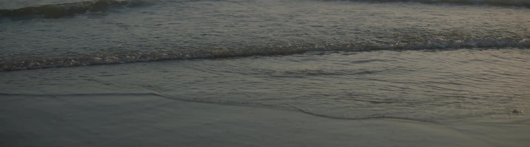 Old Friends Get Together for a Weekend on the Beach
