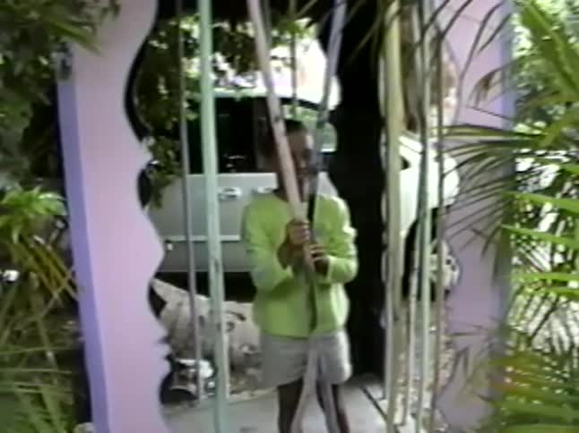 A smiling boy in a bright green shirt stands at an artistic purple gate surrounded by plants
