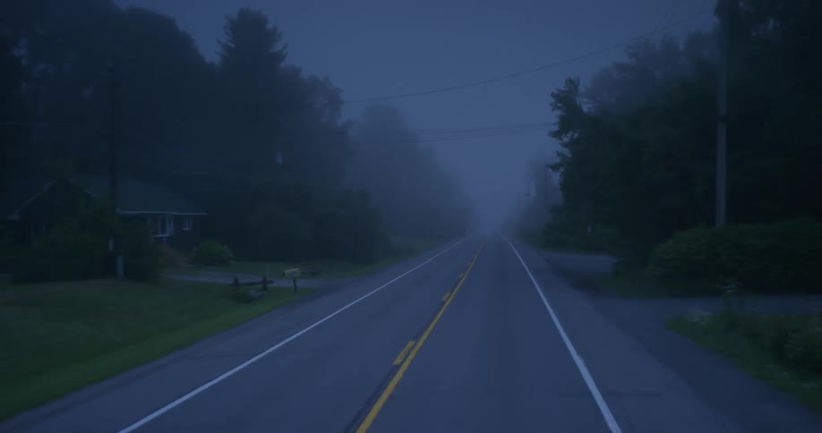 Traveling view of a country road on a foggy day