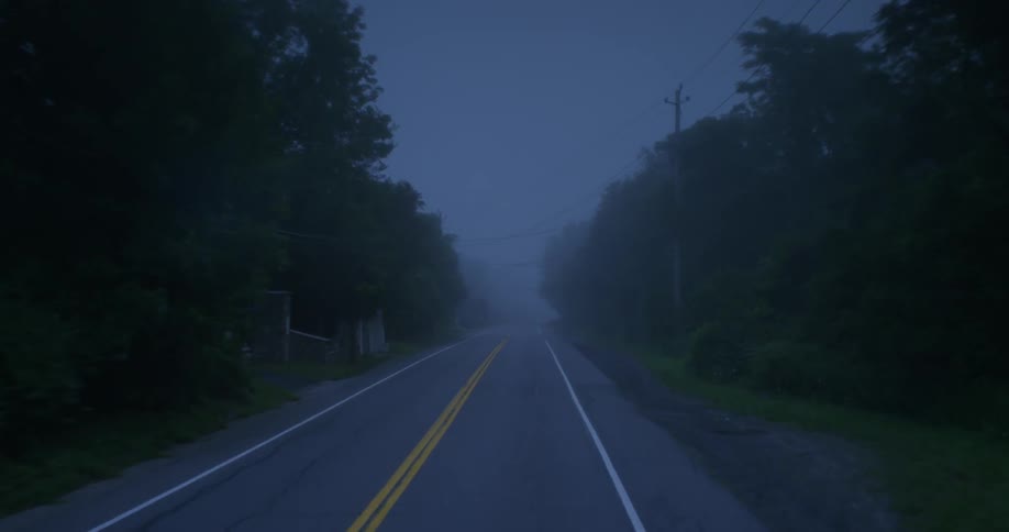 Traveling view of a country road on a foggy day