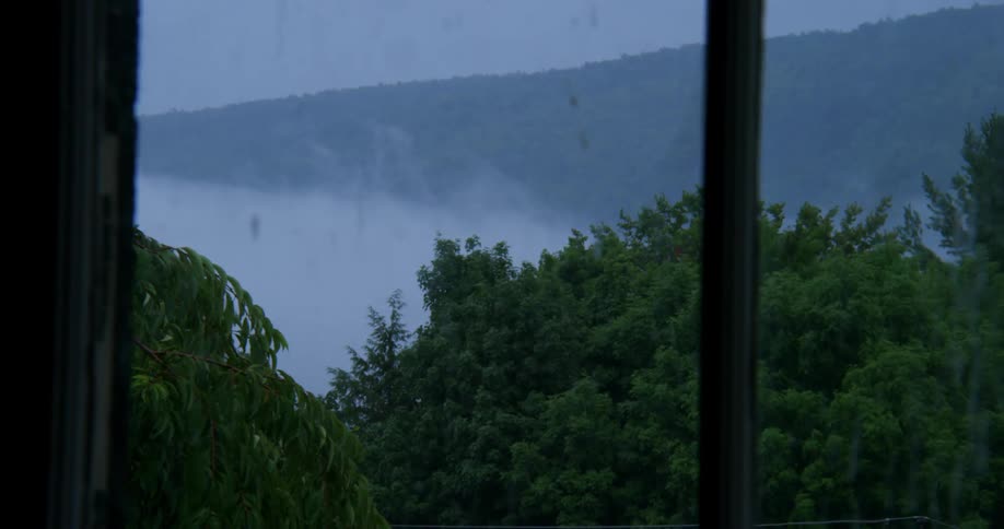 Looking through a window past the green trees at the rising mist