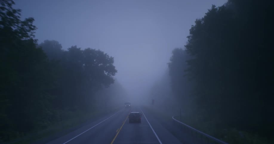 Vehicle drives down a foggy tree lined road