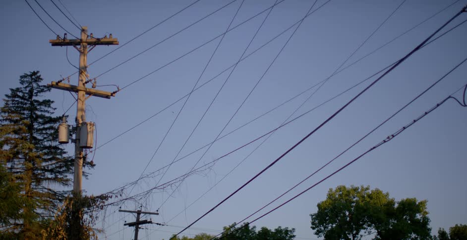 Birds fly above telephone lines on a sunny day