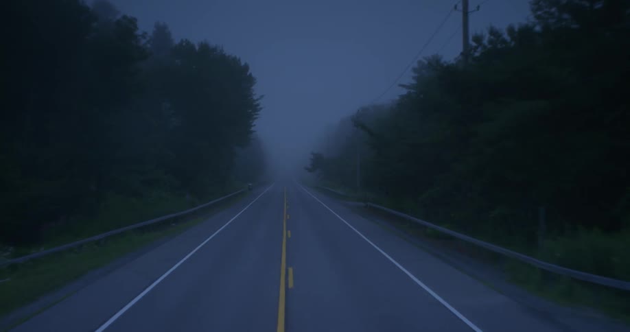 Traveling view of a country road on a foggy day