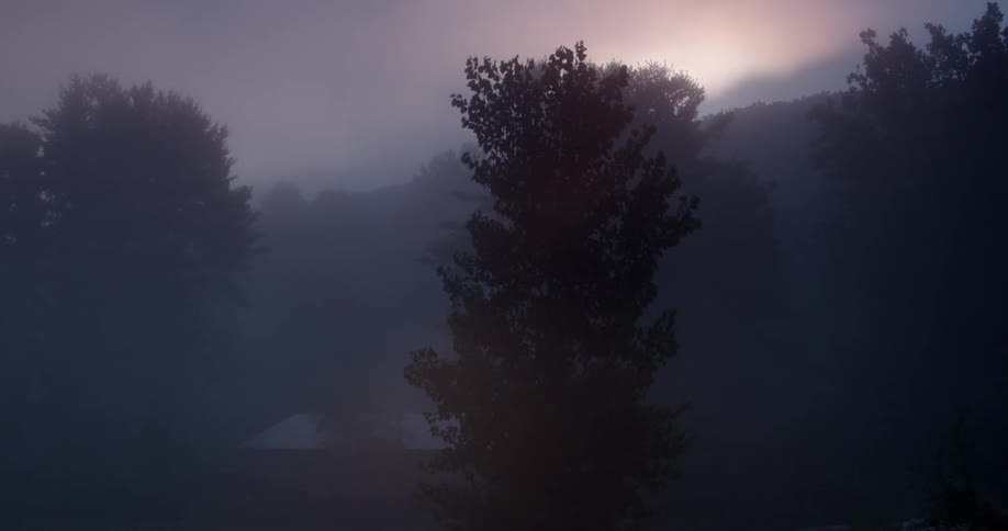 The sun lights the haze as a car passes by
