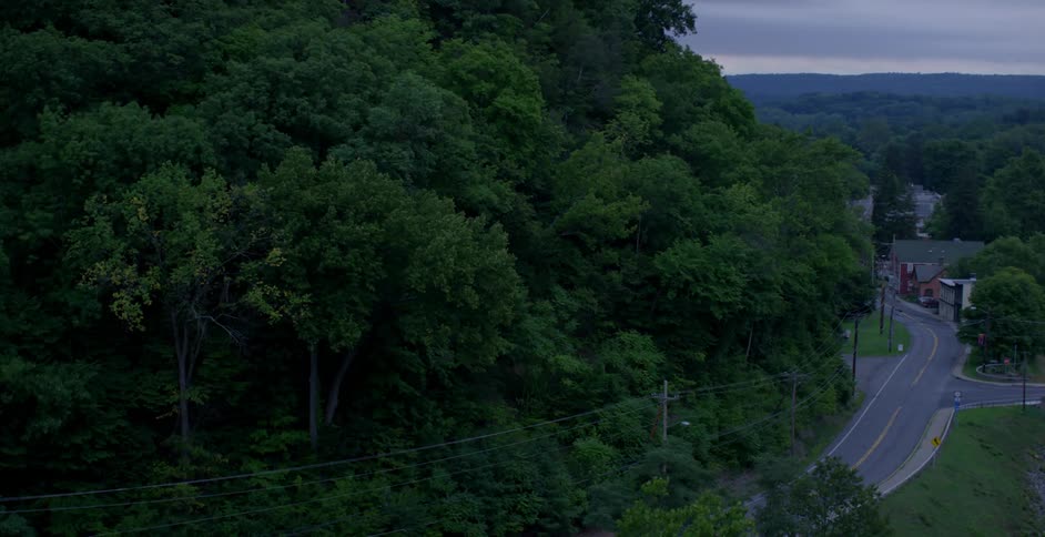 A small road sits near a hill full of trees