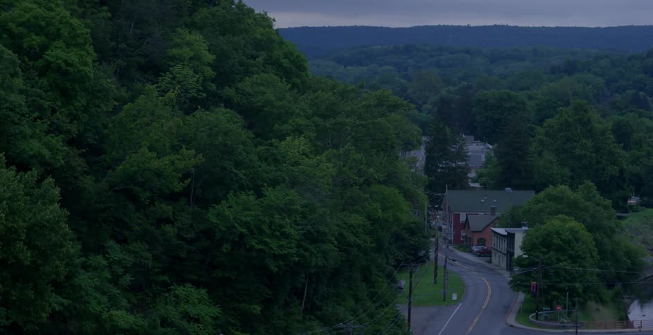 Trees line a road in a small community