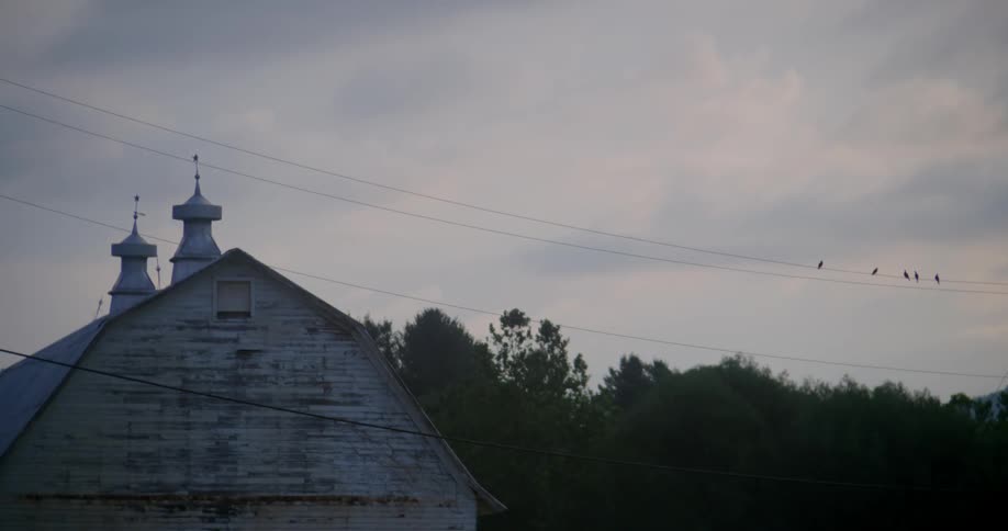 A large barn has birds flying over it