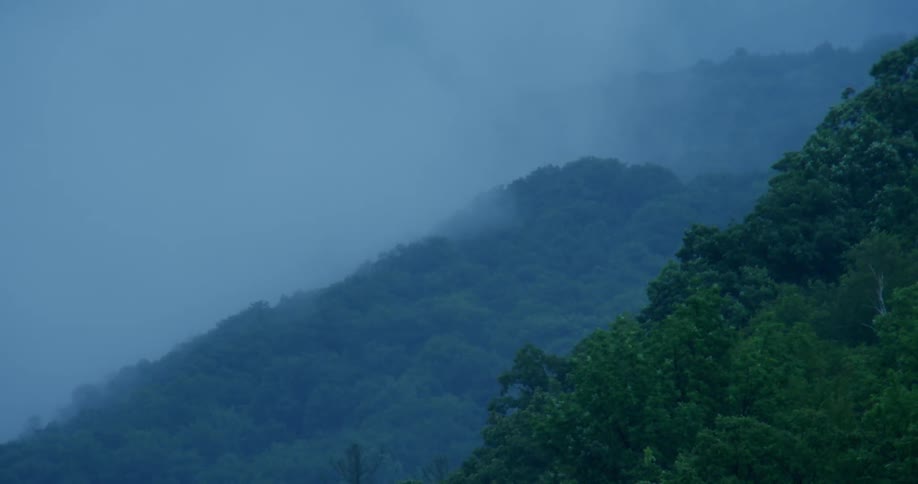 Mists flow over tree-covered hills at dusk or dawn