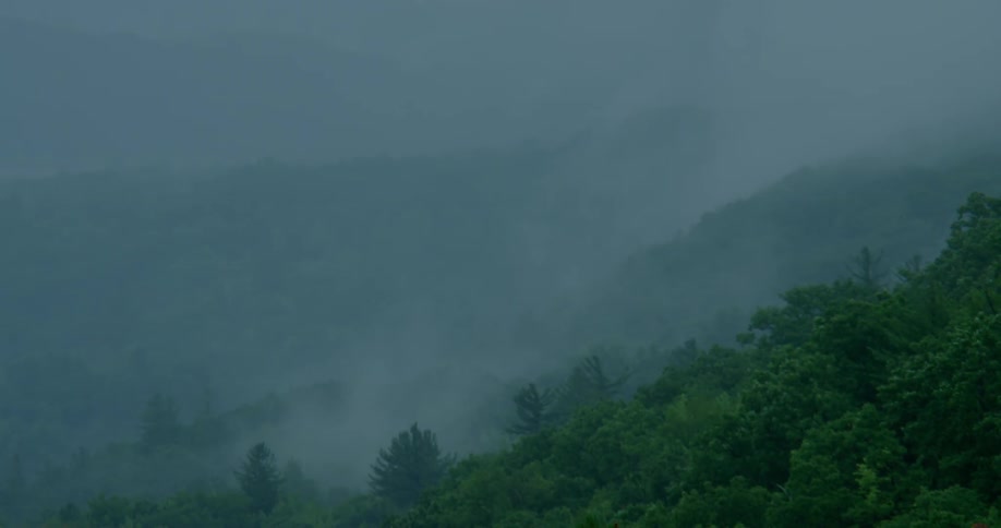 Fog hovers over a mountainside with trees