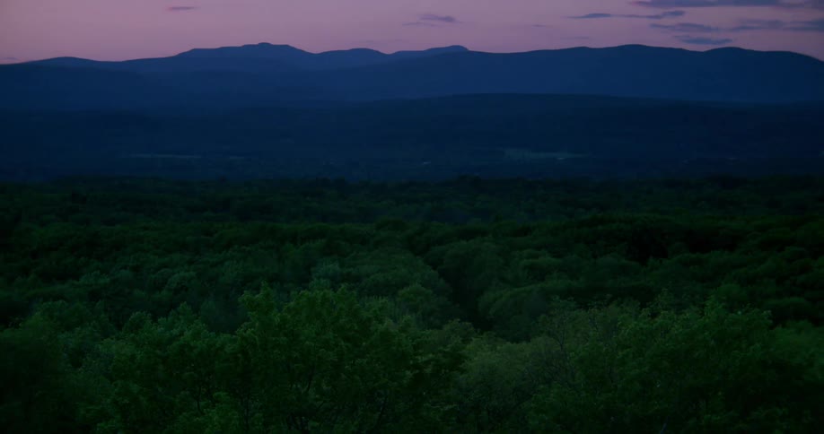 The woods are dense and dark at dawn