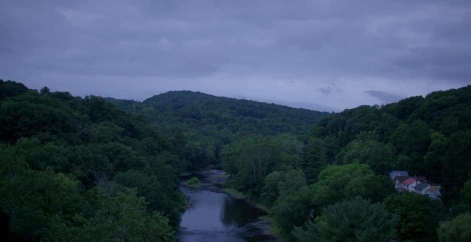 A stream runs through the woods towards the mountain