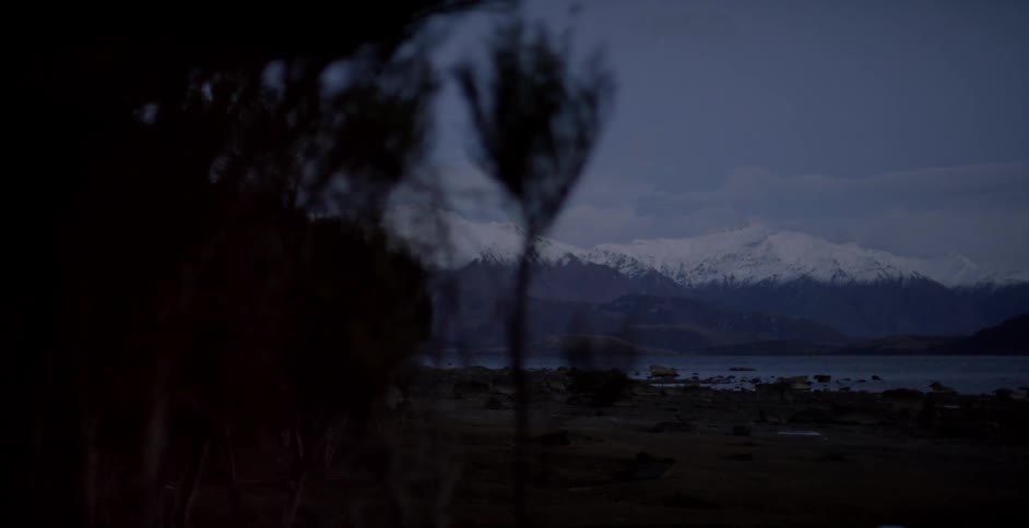 Trees with snow covered mountains and a lake in the background