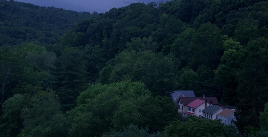 Buildings amongst a heavily wooded area