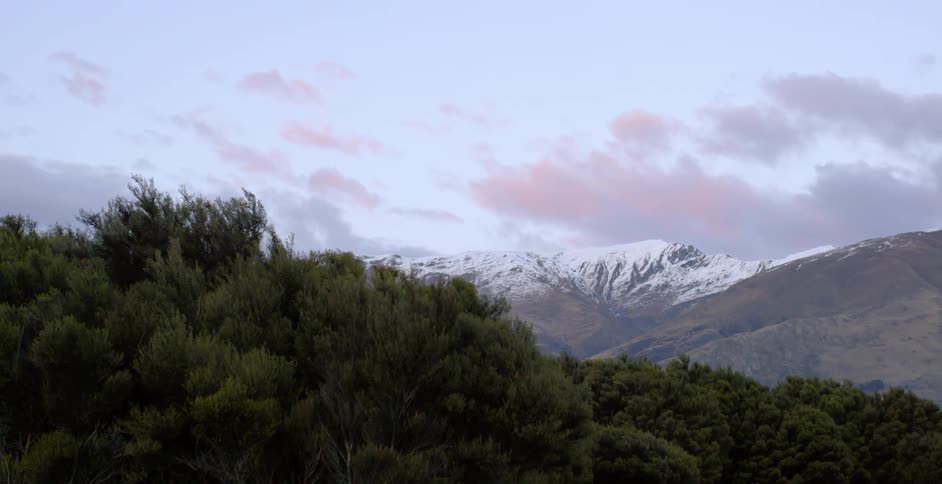 Green bushes wave in the wind with white mountain peaks in the distance