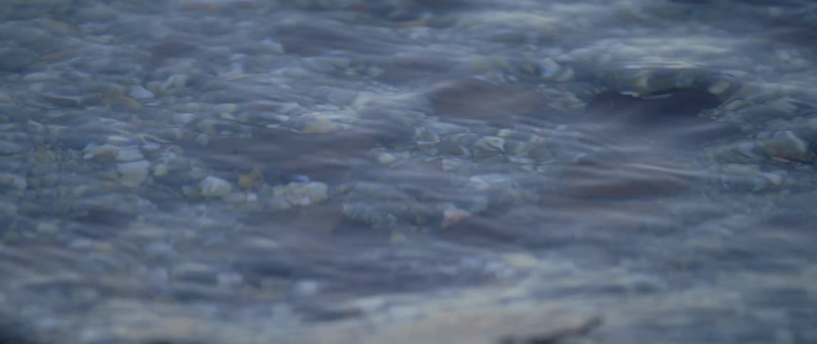 Leaves lay on the bottom of a really clear body of water