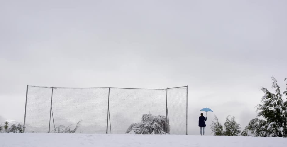 A person is holding an umbrella in the snow