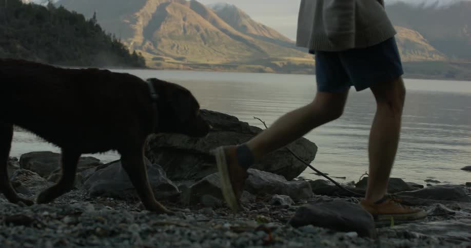 A man and his dog walk along the lake