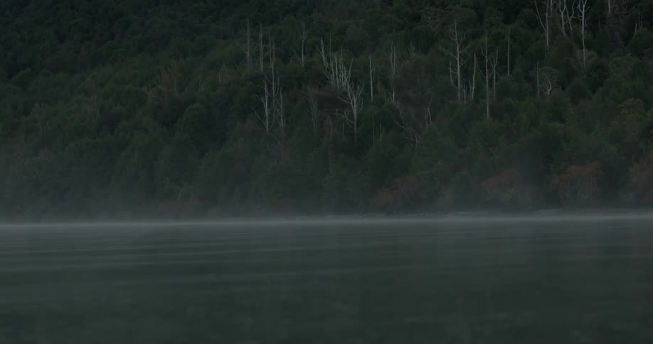 Fog rolls across the water