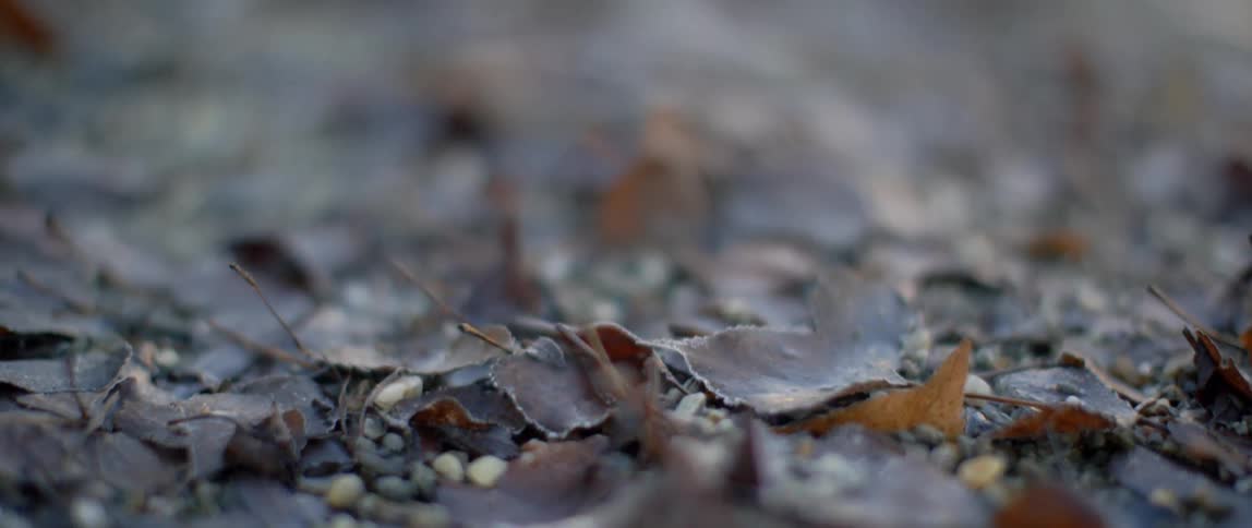 Close-up of some colorful material on the ground
