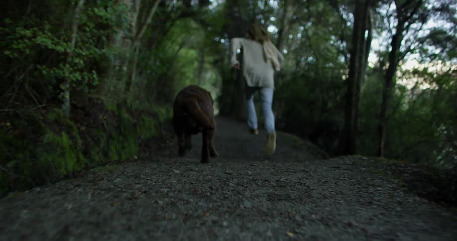 A man and dog run in a forest