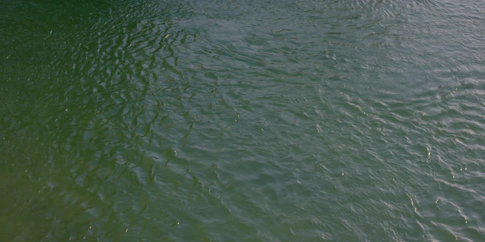 Water flows and ripples on a lake