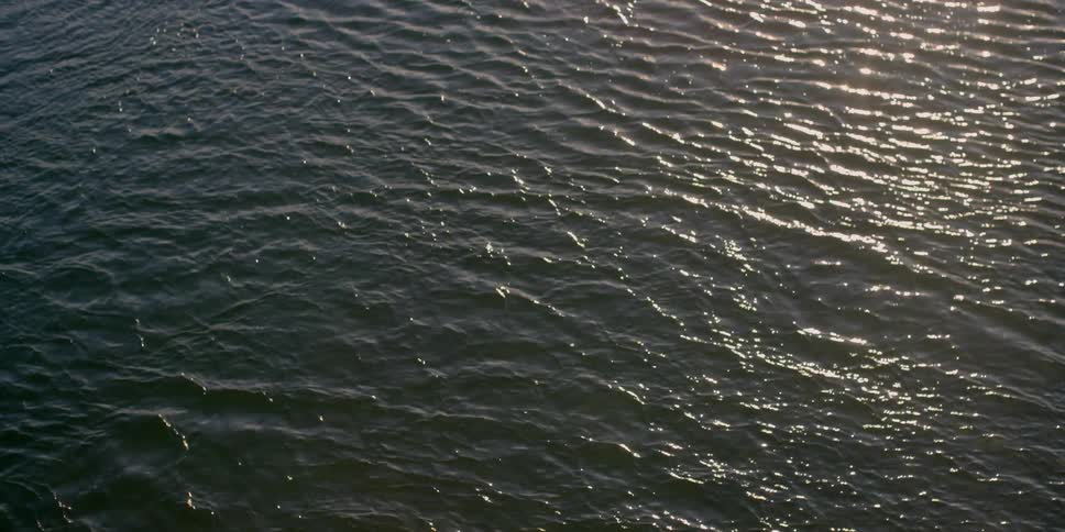 Small ripples move in the water