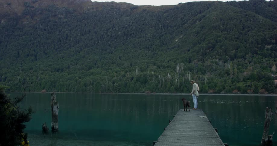 Person stands at the edge of a dock with a dog