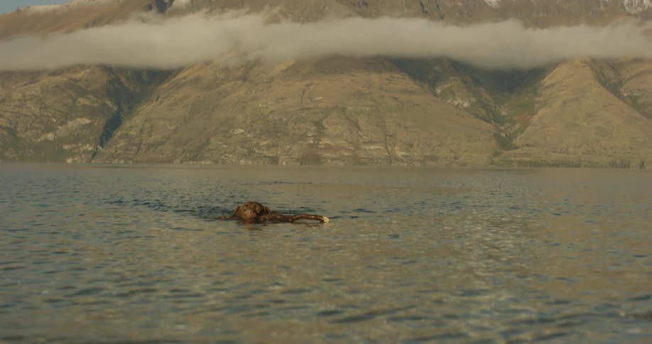 An animal splashing in a river