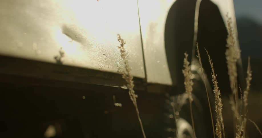 A car is parked in the tall grass