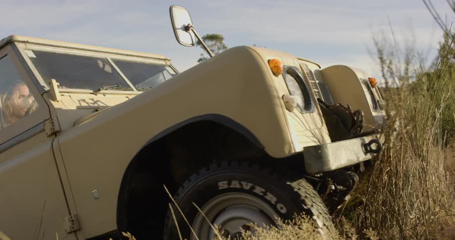 Jeep drives through tall weeds in nature