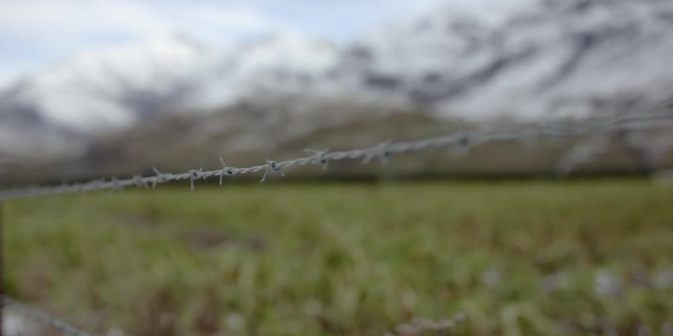 A strand of a barbed wire fence is shown in a field