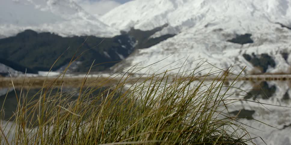 Grass grows near a mountain lake