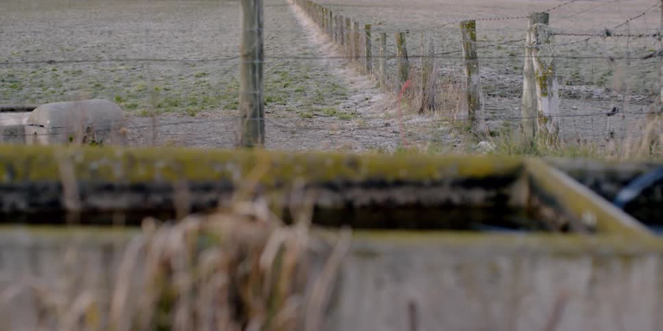 A barbed wire fence stands in a rural area