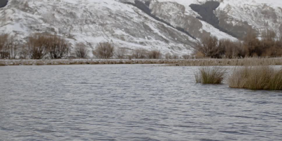 Patches of grass are in the water