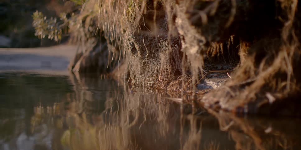 Water ripples and flows on a sunny day