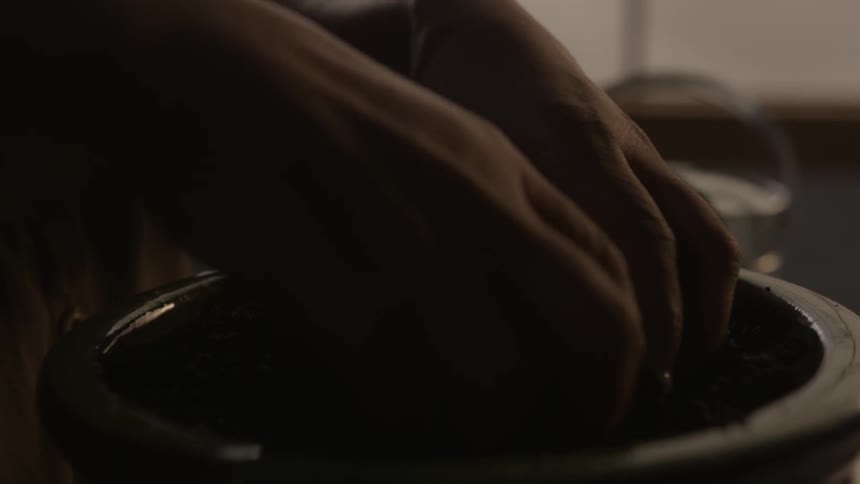 A woman plants a seed in a pot of soil